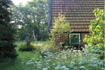 Huisje op landgoed met weide in De Kiel Drenthe VMP083